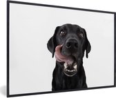 Fotolijst incl. Poster - Hond - Zwart - Lik - 120x80 cm - Posterlijst