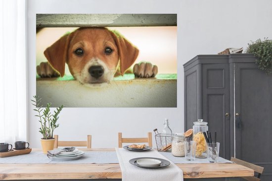 Poster Puppy regarde à travers une cage 180x120 cm - Tirage photo sur Poster (décoration murale salon / chambre) / Poster Animaux domestiques XXL / Groot format!