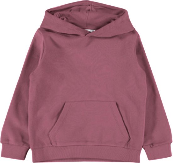 NAME IT Jungen Kapuzenpullover - Sweatshirt Mit Logo Für Den Alltag