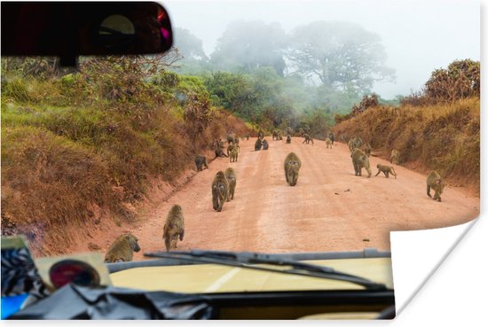 Poster Wilde dieren op de weg in de Ngorongoro krater - 120x80 cm | bol.com