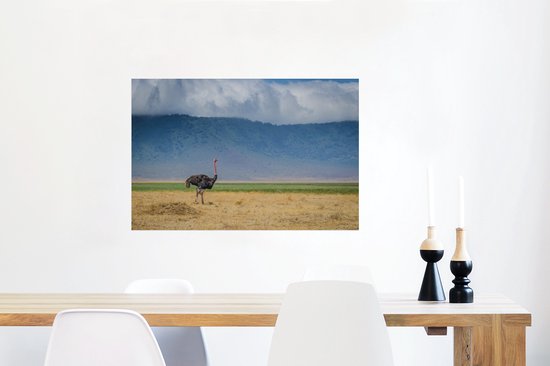 Autruche au milieu de la savanne du cratère du Ngorongoro en Tanzanie Poster 90x60 cm - Tirage photo sur Poster (décoration murale salon / chambre)