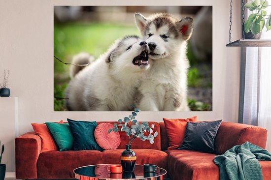 Poster Chiots jouant ensemble papier 180x120 cm - Tirage photo sur Poster (décoration murale salon / chambre) / Poster Animaux domestiques XXL / Groot format!