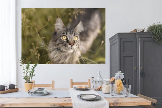 Un chat Maine Coon entre les hautes herbes Poster 180x120 cm - Tirage photo sur Poster (décoration murale salon / chambre) / Poster Animaux domestiques XXL / Groot format!