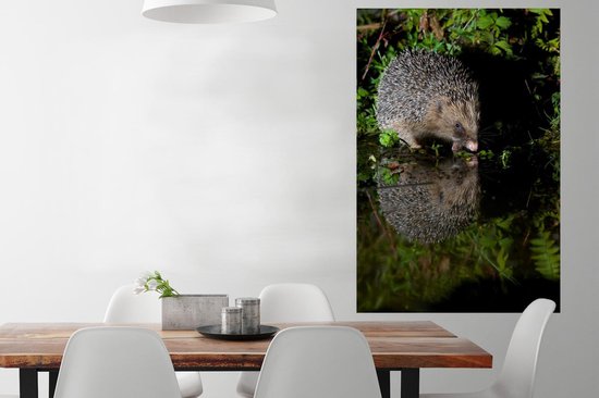 Hérisson boit de l'eau poster papier 80x120 cm - Tirage photo sur Poster (décoration murale salon / chambre) / Poster animaux sauvages