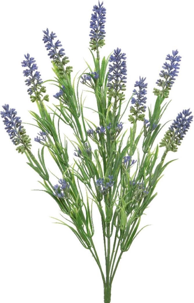 Lavender plastic L15-W15-H44cm purple