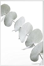 JUNIQE - Poster met kunststof lijst Eucalyptus White 3 -13x18 /Groen &