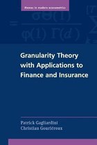 Granularity Theory With Applications To Finance And Insuranc