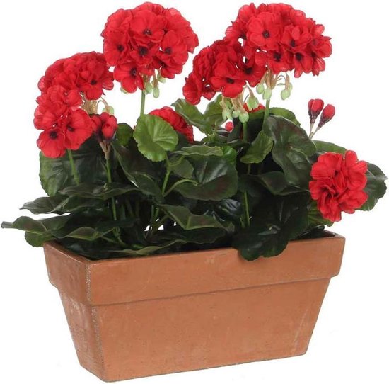 3x morceaux géranium balcon plantes artificielles rouge en pot céramique  L29 x W13 x... | bol.com