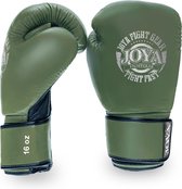 Joya Thycoon Kickbokshandschoenen - Groen/Zilver - 16 oz.