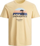 JACK&JONES JUNIOR JORCABANA Jongens T-shirt - Maat 176