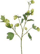 Viv! Home Luxuries Hop - Kunstbloemen - groen - 77cm - Topkwaliteit Zijde