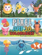 Pixel Art 30 Coloriages