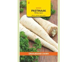 Oranjeband Zaden - Pastinaak White Gem