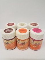 Talens universal 16 ml 6 potjes kastanje, bordeaux, antiekrood, oranje, fuchsia, huidtint