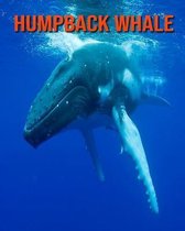 Humpback Whale