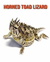 Horned Toad Lizard