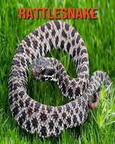 Rattlesnake