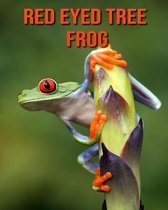 Red Eyed Tree Frog