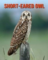 Short-Eared Owl