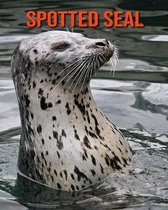 Spotted Seal
