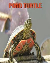 Pond Turtle