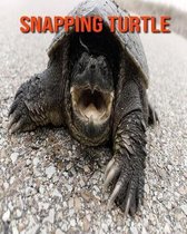 Snapping Turtle