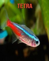 Tetra