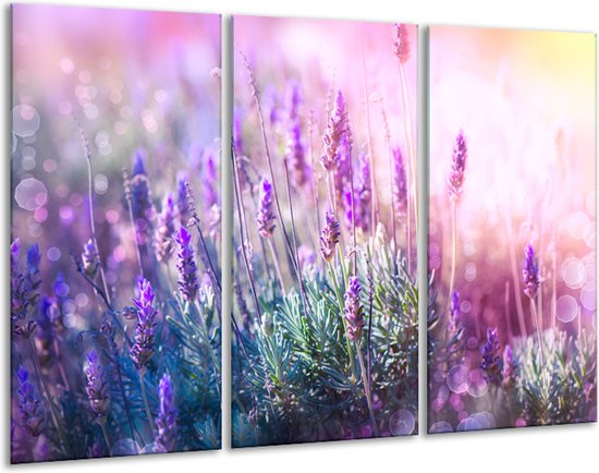 Canvas Schilderij Lavendel, Landelijk | Paars, Crème, Roze | | F007148
