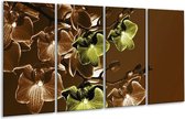 Peinture sur verre d'orchidée | Vert, marron | 160x80cm 4 Liège | Tirage photo sur verre |  F002744