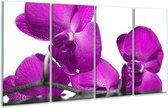 GroepArt - Glasschilderij - Orchidee - Paars, Wit - 160x80cm 4Luik - Foto Op Glas - Geen Acrylglas Schilderij - 6000+ Glasschilderijen Collectie - Wanddecoratie