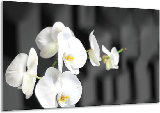 Canvas Schilderij Orchidee, Bloemen | Zwart, Wit | | F007475