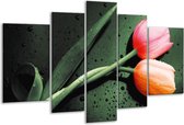 Glasschilderij Tulp - Groen, Rood, Zwart - 170x100cm 5Luik - Foto Op Glas - Geen Acrylglas Schilderij - 6000+ Glasschilderijen Collectie - Wanddecoratie