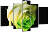 Glasschilderij Roos - Geel, Groen, Zwart - 170x100cm 5Luik - Foto Op Glas - Geen Acrylglas Schilderij - 6000+ Glasschilderijen Collectie - Wanddecoratie