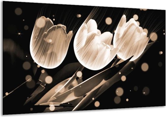 Glasschilderij Tulp - Wit, Zwart, Grijs - 120x70cm 1Luik - Foto Op Glas - Geen Acrylglas Schilderij - GroepArt 6000+ Glasschilderijen Art Collectie - Wanddecoratie - Woonkamer - Slaapkamer