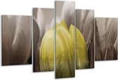 Glasschilderij Tulp - Geel, Grijs, Zwart - 170x100cm 5Luik - Foto Op Glas - Geen Acrylglas Schilderij - 6000+ Glasschilderijen Collectie - Wanddecoratie