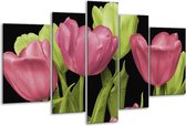 Glasschilderij Tulpen - Roze, Groen, Zwart - 170x100cm 5Luik - Foto Op Glas - Geen Acrylglas Schilderij - 6000+ Glasschilderijen Collectie - Wanddecoratie