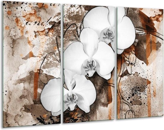 Glasschilderij Orchidee | Wit, Bruin | | Foto print op Glas |  F003320