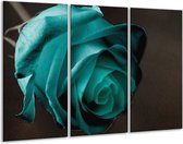 Glasschilderij Roos - Blauw, Wit, Zwart - 120x80cm 3Luik - Foto Op Glas - Geen Acrylglas Schilderij - GroepArt 6000+ Glas Art Collectie - Maatwerk Mogelijk