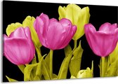Peinture sur toile Tulipe | Rose, jaune, noir | 140x90cm 1 Liège