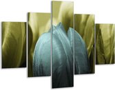 Peinture sur verre tulipe | Bleu, noir, vert | 100x70cm 5Liège | Tirage photo sur verre |  F003760