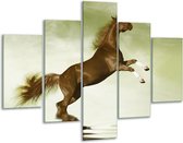 Glasschilderij -  Paard - Groen, Bruin - 100x70cm 5Luik - Geen Acrylglas Schilderij - GroepArt 6000+ Glasschilderijen Collectie - Wanddecoratie- Foto Op Glas