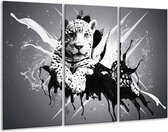 GroepArt - Schilderij -  Dieren - Zwart, Wit, Grijs - 120x80cm 3Luik - 6000+ Schilderijen 0p Canvas Art Collectie