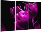 Peinture sur toile Tulipe | Violet, noir, blanc | 120x80cm 3 Liège