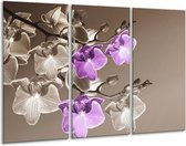 GroepArt - Schilderij -  Orchidee - Bruin, Paars - 120x80cm 3Luik - 6000+ Schilderijen 0p Canvas Art Collectie