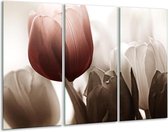 GroepArt - Schilderij -  Tulpen - Bruin, Wit, Grijs - 120x80cm 3Luik - 6000+ Schilderijen 0p Canvas Art Collectie