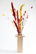 Droogbloemen | Boeket Rood/Geel | Dried Flowers Red/Yellow - INCLUSIEF HOUTEN VAAS - Droogbloemen in vaas