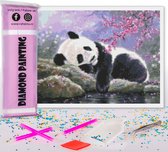 Compleet Full Diamond Painting voor volwassenen en kinderen - Panda beer - 30x40cm volledig pakket met accessoires - Cadeau tip