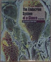 The Endocrine System At A Glance