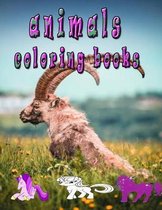 animals coloring book