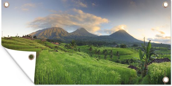 Rijstvelden en vulkanen Bali Tuinposter 60x40 cm - Foto op Tuinposter (tuin decoratie)